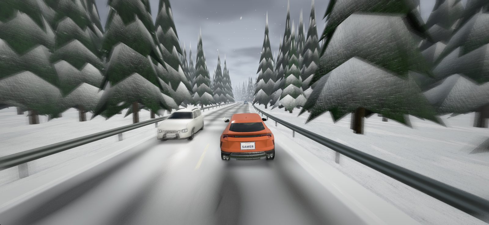 snow on the road
